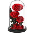 thumbnail image 1 of Venta al por mayor regalos de Navidad tres rosas adornos de cubierta de vidrio luces LED luminosas creativas regalos decorativos, 1 of 3