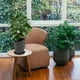thumbnail image 3 of GOOHOCHY 10 PCS PRINCIPAR PROCRATE FLOREPOT BANDEJA FUNDADOR BANDEJA BONSAI BANDAI BANDAITA FLOTAPOT PALLET, 3 of 7