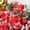 Red 9 Boxes, variant on Surprise Gift Box Explosion for Money, Pop Up Money Gift Box for Cash Gift, Merry Christmas Surprise Gift Boxes, Bouncing Envelope Gift Box for Christmas Birthday Anniversary (Valentin 8)