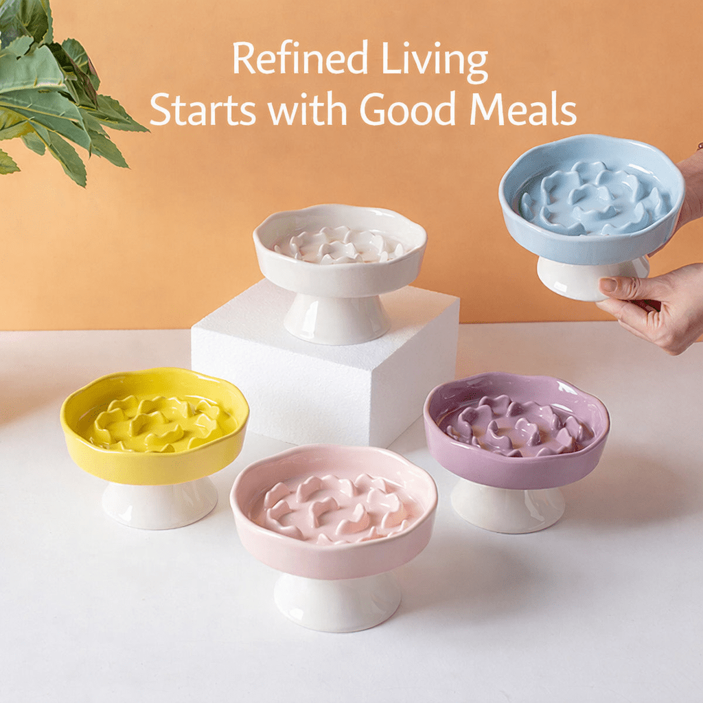 Slow Feeder Dog Bowl Food Grade Silicone Slow Feed Pet Bowl with Suction Cup Anti Slip Dog Feeding Bowl for Small Medium Dogs