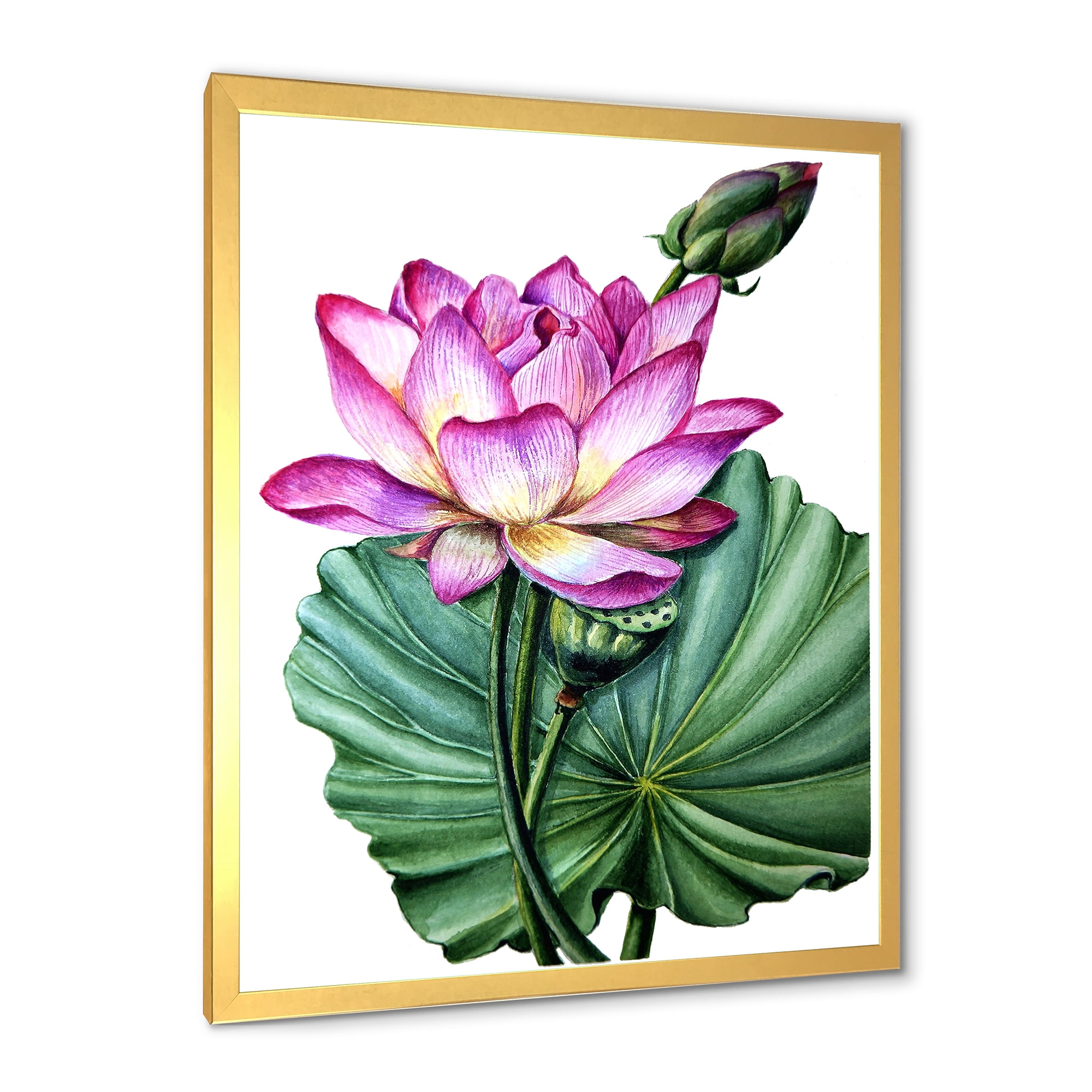 Designart 'Ancient Pink Lotuses In The Pond VI' Traditional Framed Art Print