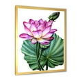 thumbnail image 2 of Designart 'Ancient Pink Lotuses In The Pond VI' Traditional Framed Art Print, 2 of 4