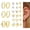 Golden White Diamond Set, variant on Hegnshan Flat Back Earrings for Women Hypoallergenic Surgical Steel Earrings for Sensitive Ears-20G Cartilage Earring Stacks 14K Gold Plated Hoops Flatback Stud Earring Sets for Multiple