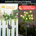 thumbnail image 3 of Fohil Solar Garden Lights, 2 Pack Solar Flower Lights Outdoor Waterproof, 2 Lighting Modes LED Gardenia Solar Powered Lights for Garden Patio Yard Lawn Pathway Decoration, 3 of 7
