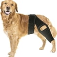 thumbnail image 1 of Dog Knee Brace for Torn ACL Hind Leg,Strong Support to Reduce Joint Pain and Muscle Sore, with Side Stabilizers for Back Leg, 1 of 5