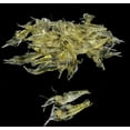 thumbnail image 4 of Premium 30PCS Fake Shrimp Lures 4cm - Cost-Effective Soft Bait Set, Ready-to-Fish w/ Pre-Attached Hooks, 4 of 13