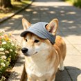 thumbnail image 5 of Dog Baseball Cap, Dog Sun Hat,Breathable Lightweight Design, Secure Adjustable Chin, Quick-Dry Fabric Reinforced Brim Small Medium Large Dogs Dark Blue, 5 of 6