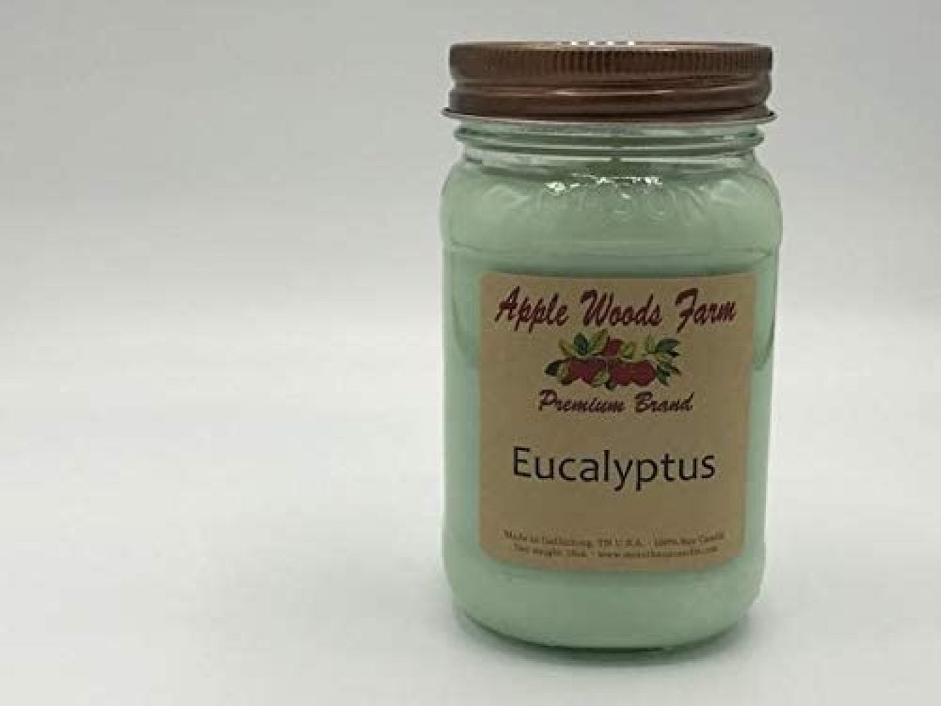 Apple RovKeav Eucalyptus 100 Soy Mason Jar Candle