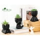thumbnail image 2 of Set de plantas suculentas artificiales con macetas negras, 3 unidades, 2 of 6