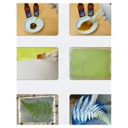 Teissuly Cyanotype kit, 2 Component Sensitizer Set, 200ml Large Size with Instructions