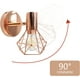 thumbnail image 3 of Luz de pared LED Rose Shade Metal Cage Lámpara de pared Zócalo TUNC Sencillez, 3 of 5