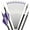 Purple & White, variant on SHARROW 31" Carbon Arrows Hunting Arrows Spine 250 300 350 400 500 600 with Replaceable Points Targeting Practice Arrows for Compound/Recurve/Long Bow 6/12pcs