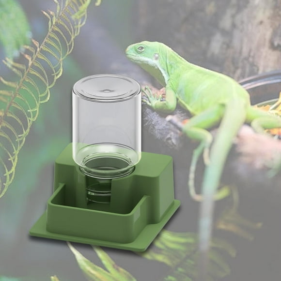 Dispensador automático de agua para reptiles, comedero para mascotas, accesorios para jaulas, bebedero para anfibios, tortugas, geckos y ranas, Verde