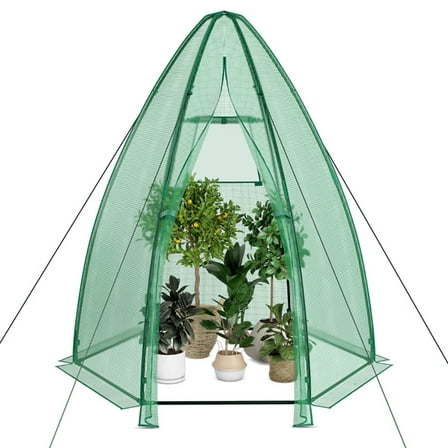 Spaco 5.5 x 5.5 x 6 Feet Portable Mini Greenhouse with All-Weather PE Cover, Indoor Outdoor Garden Green House, Outside Garden Plastic Green House