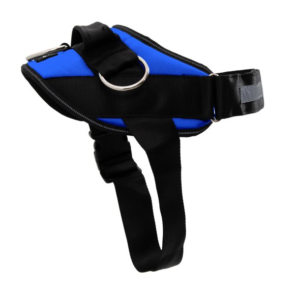Arnés para perros ShawnCo Essential Electric Blue para perros (M)