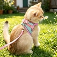 thumbnail image 4 of Btomtd Color Blocked Pet Strap And Leash Set Breathable Mesh Vests With Adjustable Straps Suitable For Small And Medium Cats And Dogs, 4 of 6