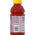 thumbnail image 2 of V8 Splash Berry Blend Flavored Juice Beverage, 16 fl oz Bottle (12 Pack), 2 of 2
