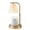 White Tortoise, variant on Better Homes & Gardens Glass Wax Melt and Candle Warmer Lamp, Dark Brown Tortoiseshell
