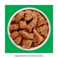 thumbnail image 4 of Alimento para Perro Purina Dog Chow Adulto Razas Pequeñas Sabor Carne 100 g, 4 of 4