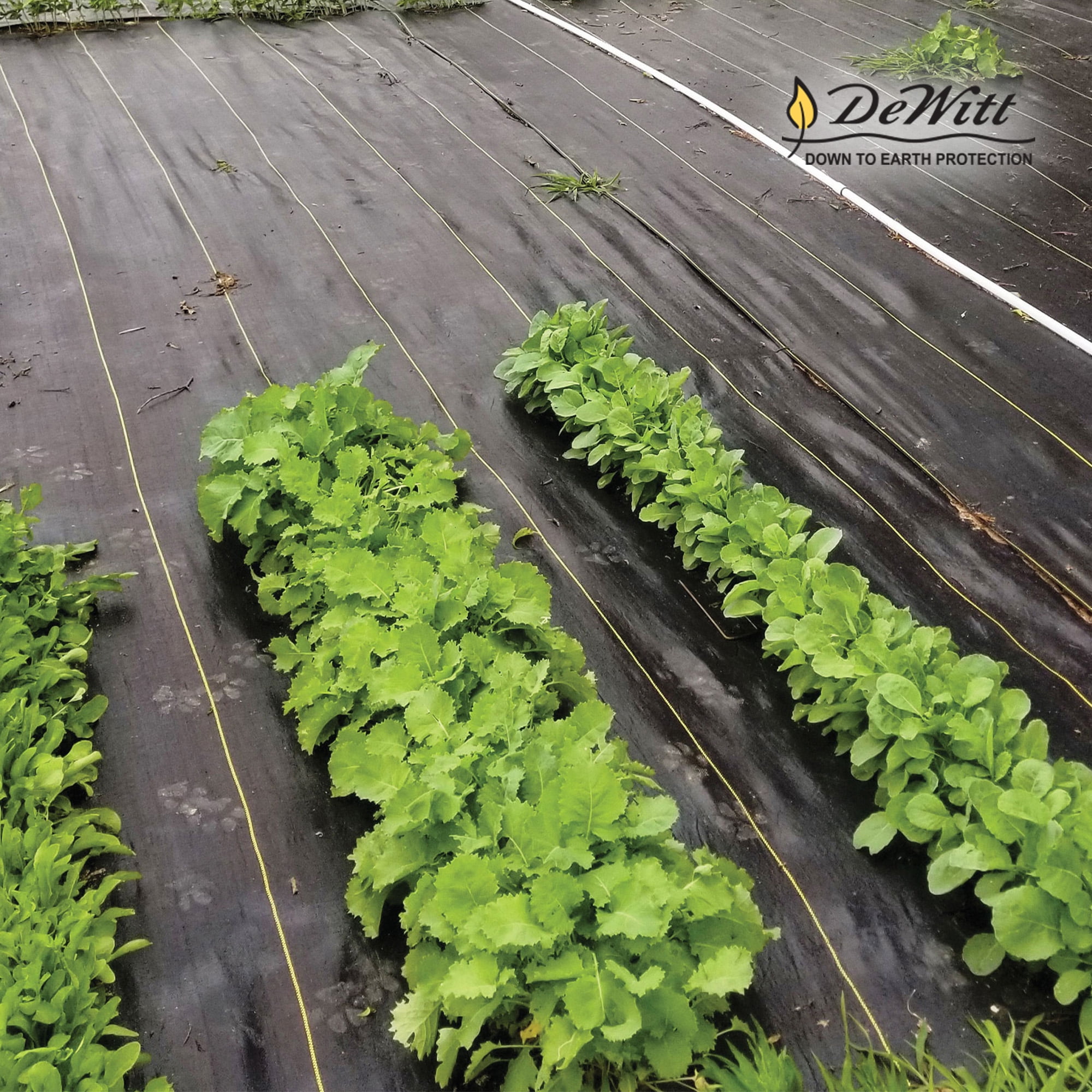 DeWitt 9-Pack Sunbelt Weed Barrier Fabric 3.2 oz, Heavy-Duty Ground Cover, 4 x 300 Feet