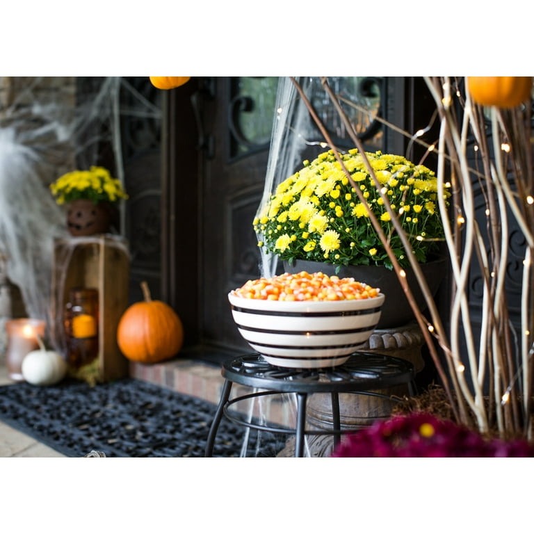 Expert Gardener 1.5G Orange White Yellow Mum Live Plant Decorative