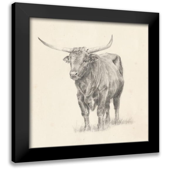 Harper, Ethan 12x12 Black Modern Framed Museum Art Print Titled - Longhorn Steer Sketch I