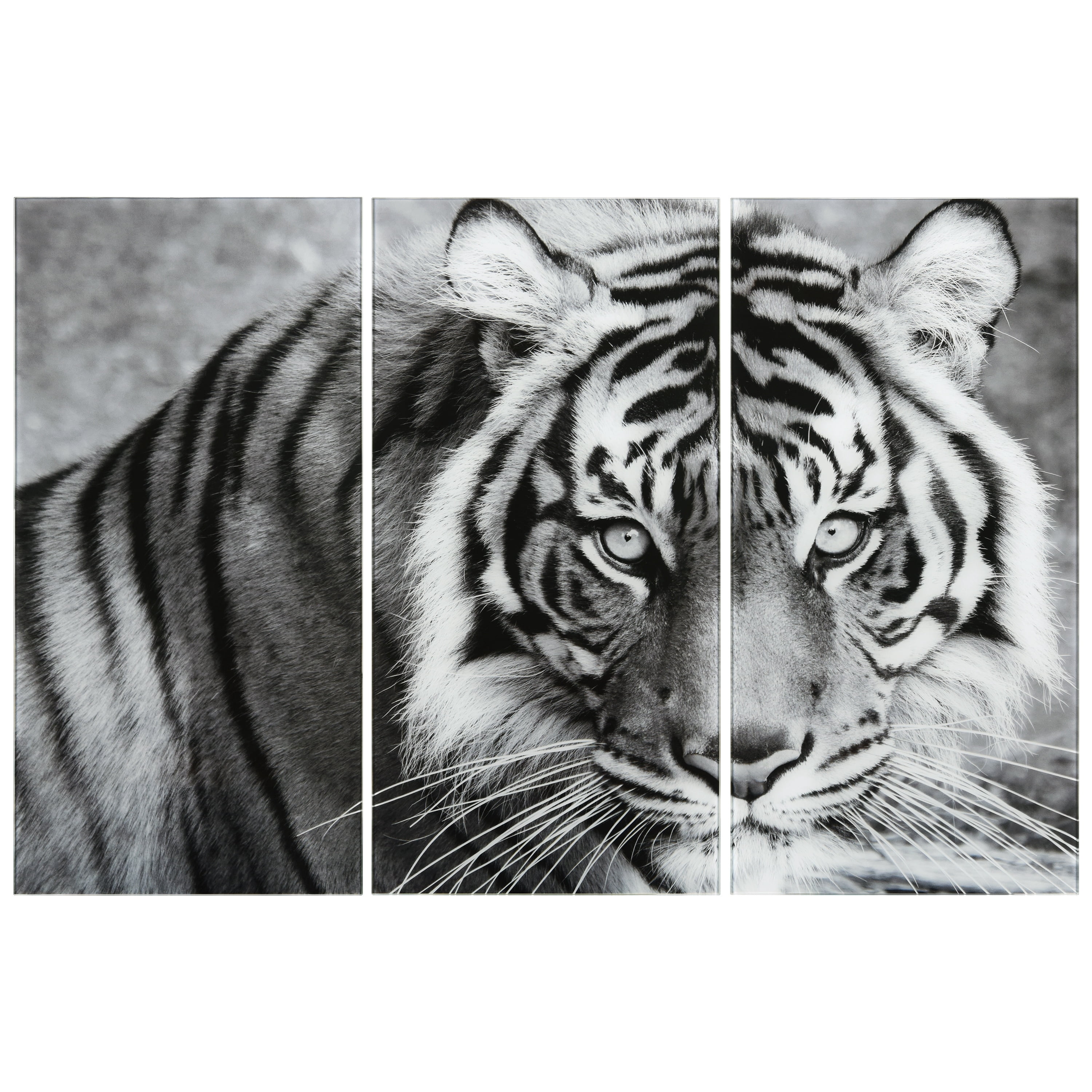 Tiger ABC 36 in x 72 in Mixed Media Art, by Empire Art 3 Count