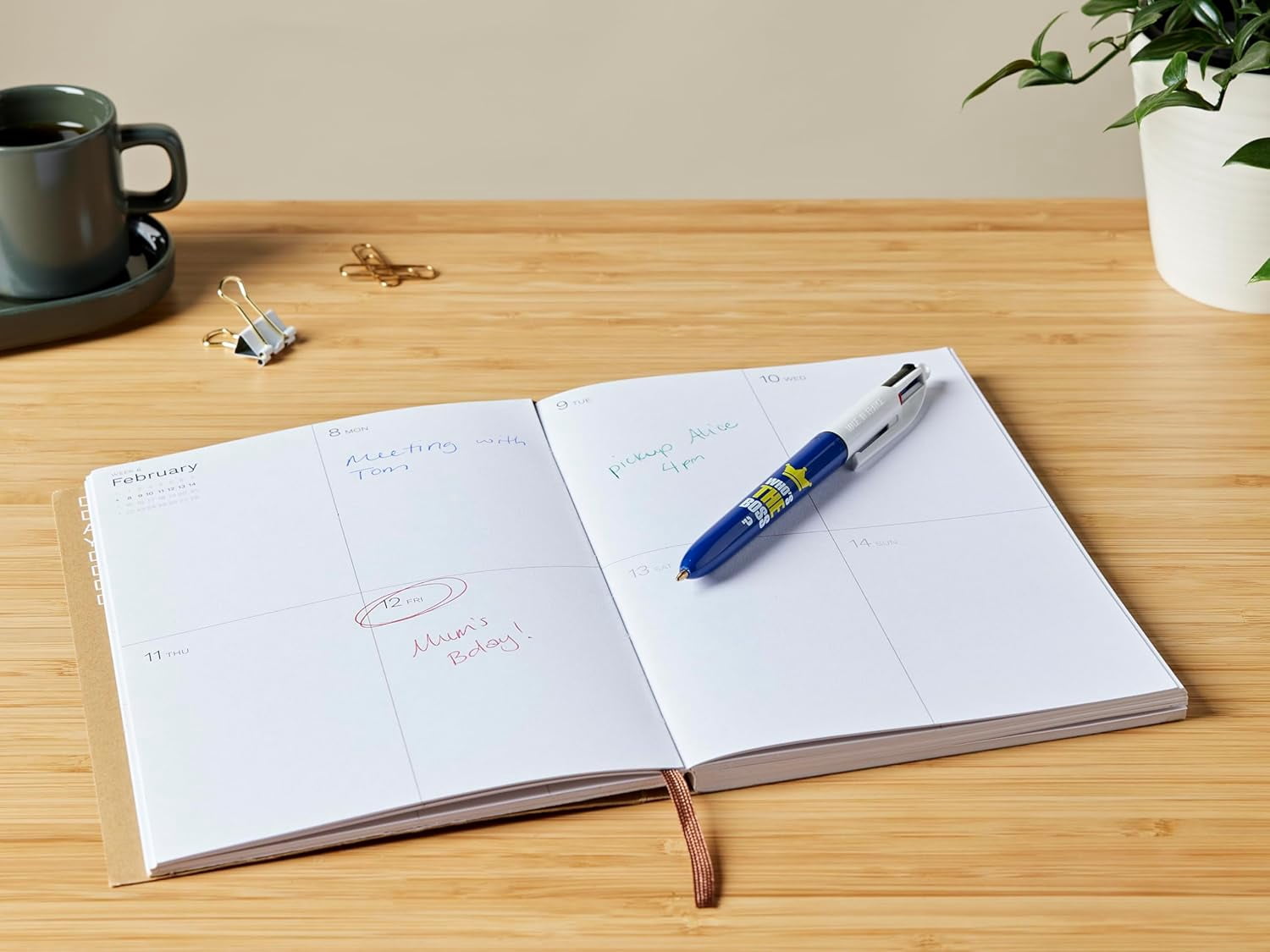 BIC 4 Colours Messages Ballpoint Pens Medium Point (1mm) - Who's The Boss Design, Box of 12