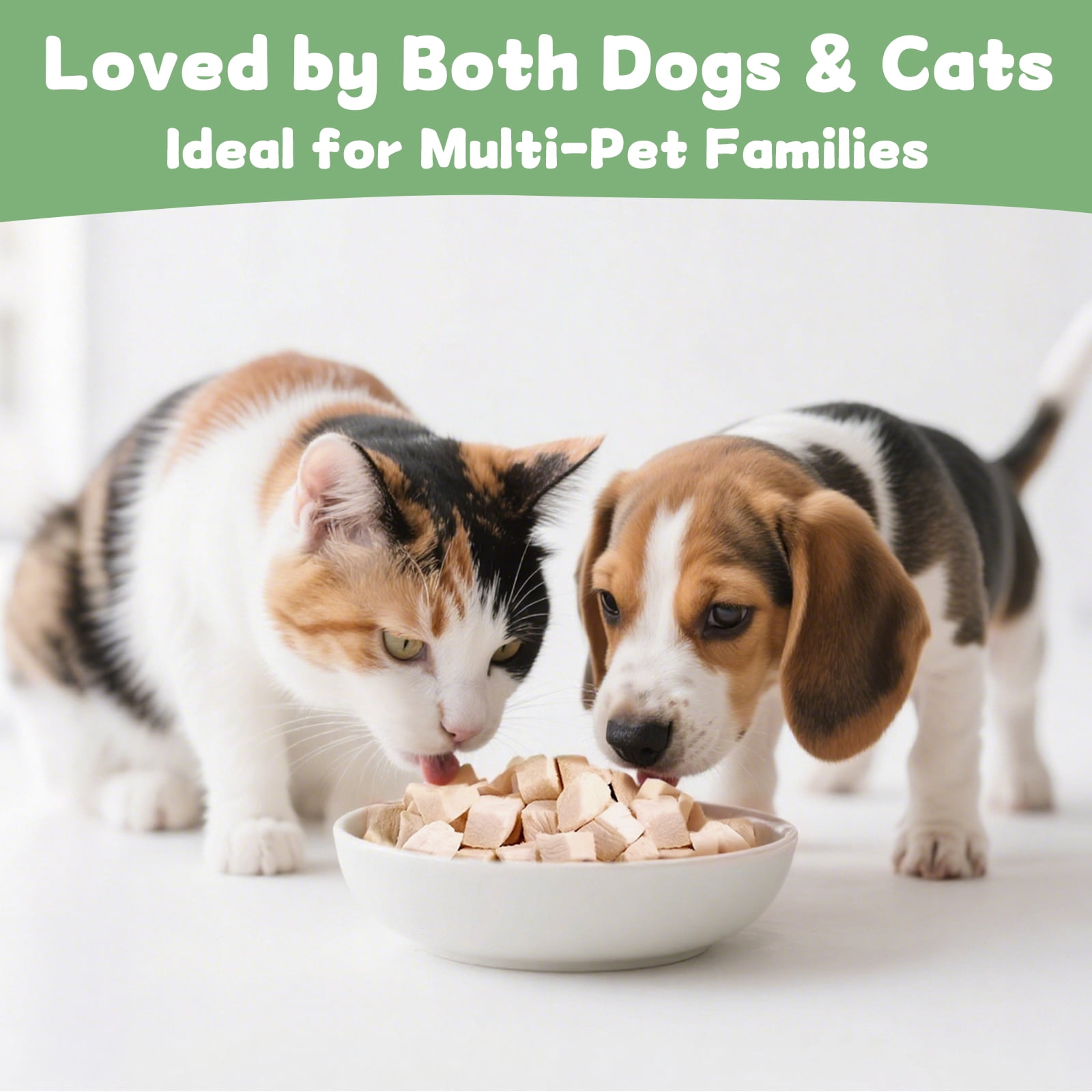 Freeze Dried Chicken Cat Treats  14.2 oz, Single Ingredient Chicken High Protein Pet Training Snacks or Food Topper for Cats & Dogs