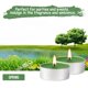 thumbnail image 4 of Paquete de 100 velas perfumadas para aromaterapia primaveral durante 4 horas, 4 of 6