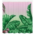 thumbnail image 3 of Ambesonne Garden Shower Curtain, Exotic Orchid Blooms, 69"Wx75"L, Hunter Green Dried Rose, 3 of 5