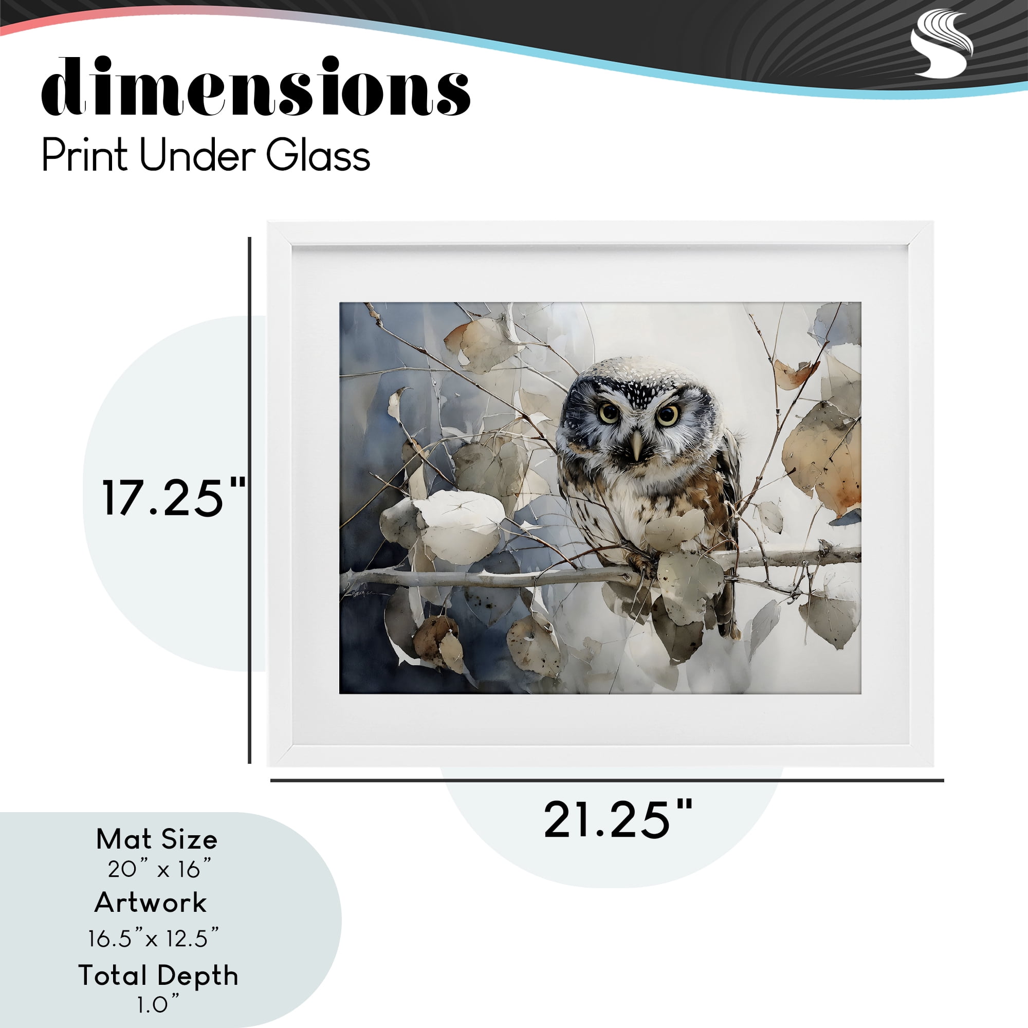 Stupell Industries Hoot Owl on Autumn Branch White Framed Print Under Glass, design by Franklyn Gregory