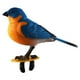 thumbnail image 2 of Modelo de de pájaro por con sonido simulado, juguetes educativos de música, juguete de activación para mascotas, pájaro Musical A CUTICAT pájaro cantor, 2 of 6