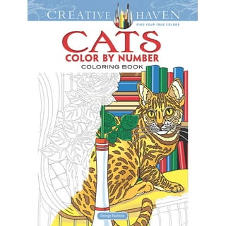 Adult Color By Number Coloring Book: An Adult Coloring Book with Fun, Easy,  and Relaxing Coloring Pages (Adult Color by Number Coloring Book)  (Paperback)