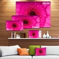 thumbnail image 3 of Macro Photo of Gerbera Flower - Flowers Canvas Wall Artwork, 3 of 4