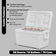 Igloo 48 QT Laguna Hard Sided Ice Chest Cooler - White