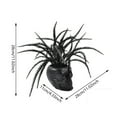 thumbnail image 3 of HomeKingdee Skull Planter Pots, Skeleton Vase, Flowers, Gothic Centerpiece for Table, Punk Home Decor and Accessories, 3 of 7