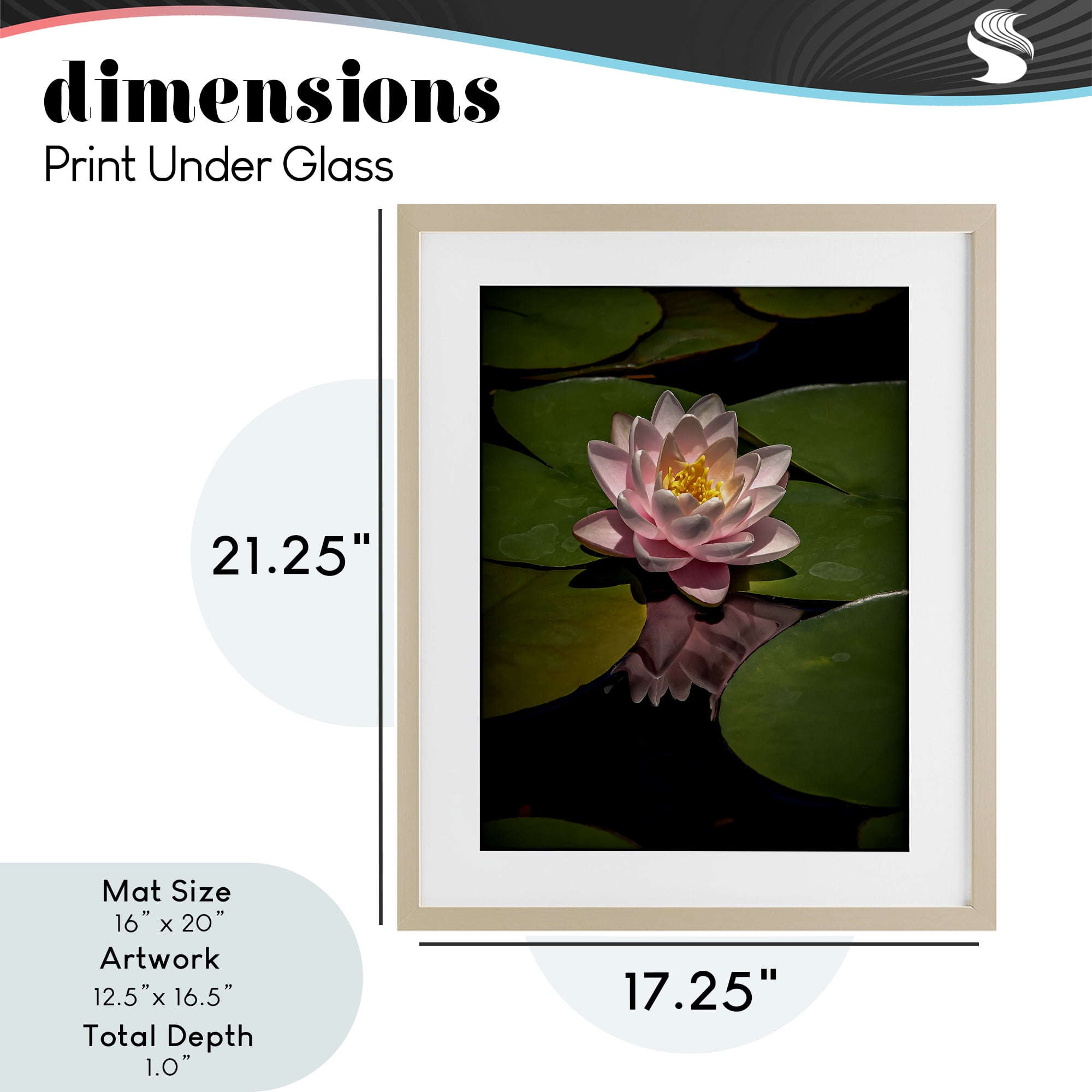 Pink Lotus Among Lily Pads Birch Framed Print Under Glass, design by Phillip Flowers