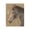 Farmhouse Horse Painting, variant on Stupell Industries Farmhouse Horse with Tousled Mane Black Floating Frame Canvas Art, 17 x 21, by Victoria Barnes