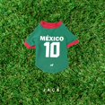 thumbnail image 1 of Jack Pet - Jersey Selección Mexicana Chica Jack Pet Accesorios, ropa para mascota, 1 of 2