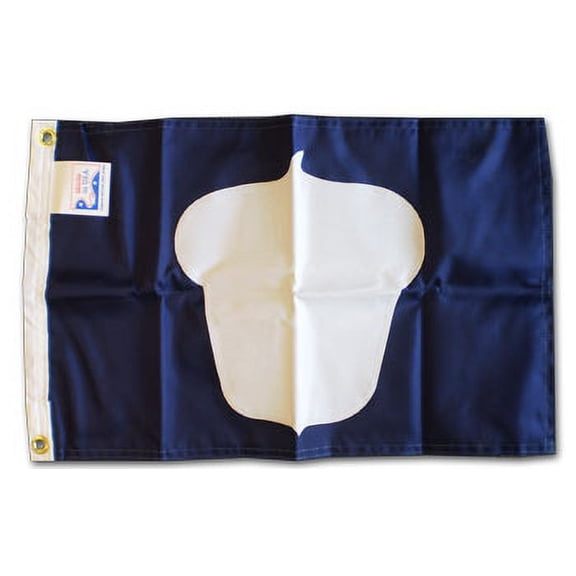 Treasurer - 12"x18" Nylon Flag