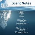 thumbnail image 4 of Scent Fill 100% Natural Glacier Plug in Air Freshener, 3 Scented Oil Refills, 4 of 6