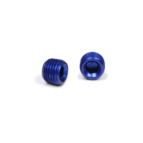 Xrp-Xtreme Racing Prod. 1/4in Allen Head Pipe Plug (2pk)