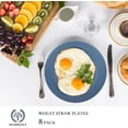 thumbnail image 6 of Homienly Wheat Straw Dinner Plate Set of 8, 9 Inch, Unbreakable Microwave Dishwasher Safe Household Tableware Alternative to Plastic, Plastic Dinner Plates, Blue, 6 of 8