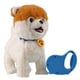 thumbnail image 1 of Juguete Peluche Interactivo Electrónico Con Correa Control Remoto para Pequeños (C), 1 of 9