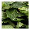 thumbnail image 2 of Hierbabuena 30 g, 2 of 2