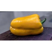 Yellow Monster Bell Pepper Premium Seeds for Planting Packet