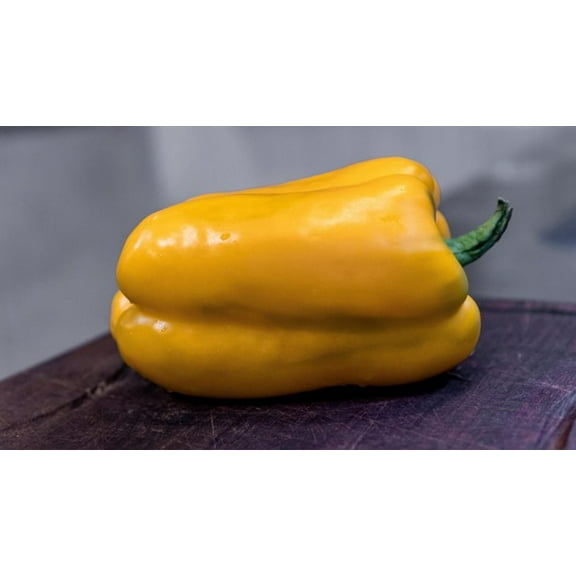 Yellow Monster Bell Pepper Premium Seeds for Planting Packet