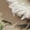Khaki, variant on Men Armadillo Clogs Shoes Non Slip Fuzzy Warm Fur Lined Slip on Winter Garden Chef Nurse Mules Shoes