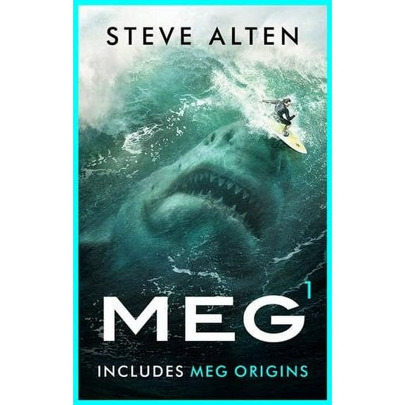 The MEG